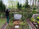 Friedhofsgärtnerei Fahle in Höxter - Standardgrabpflege - Jahrespflege: Foto 01