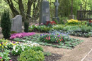 Friedhofsgärtnerei Fahle in Höxter - Dauergrabpflege: Foto 02